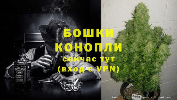 ешки Гусиноозёрск
