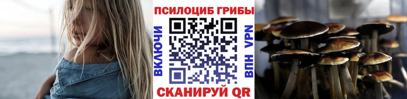 Купить закладки  Лермонтов  Псилоцибиновые грибы GOLDEN TEACHER 